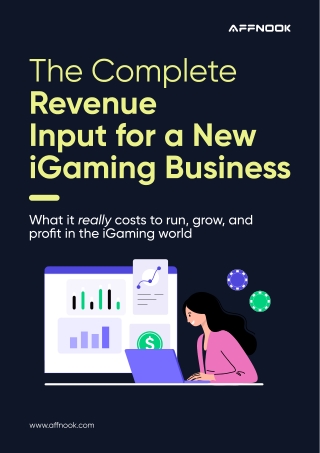The Complete Revenue_Input for a New_iGaming Business_- Affnook Guide