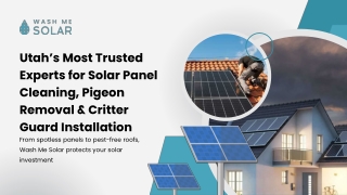 Commercial solar panel cleaning