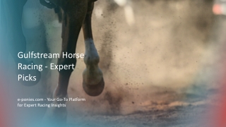 Expert Picks for Gulfstream Horse Racing at e-ponies.com