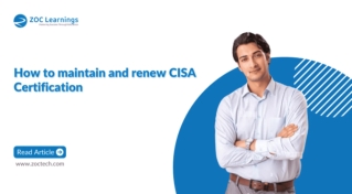 Doctorate or PhD Choose the Right Path