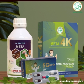 Metarhizium anisopliae: A Powerful Biological Insecticide for Pest Control