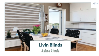 Zebra Blinds For Windows