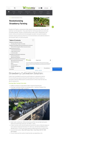 Revolutionizing strawberry farming