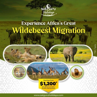 Explore Africa, Oman & Mozambique – Unforgettable Travel Packages Await!