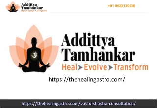 Vastu Consultation Online India