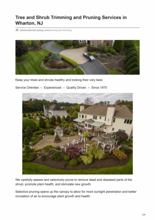 Tree and Shrub Trimming and Pruning Services in Wharton, NJ