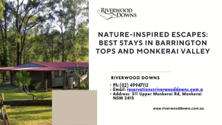 Nature-Inspired Escapes Best Stays in Barrington Tops and Monkerai Valley