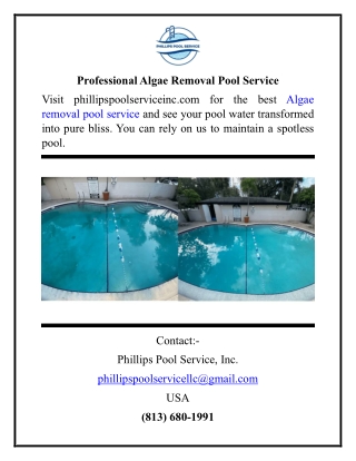 Professional Algae Removal Pool Service