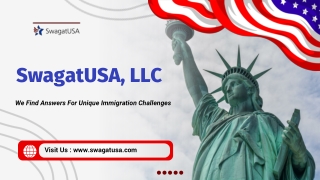 How an Immigration Lawyer in Chicago Wins Complex Cases?