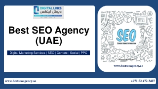 Best SEO Agency (UAE)