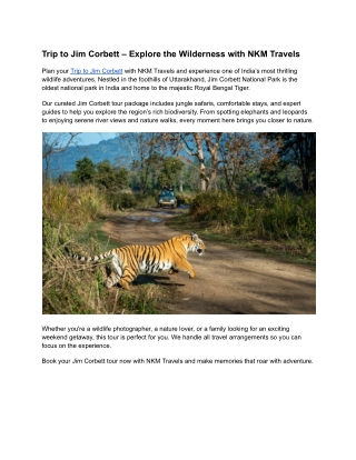 Trip to Jim Corbett – Explore the Wilderness with NKM Travels