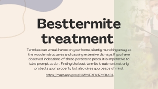 Besttermite treatment