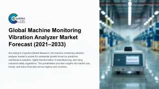Global Machine Monitoring Vibration Analyzer Market  Forecast , Size and its Sha