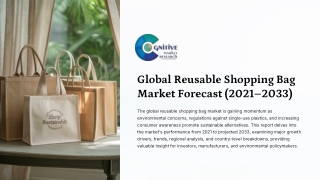 Reusable Shopping Bag Market