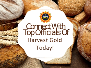 Connect With Top Officials Of Harvest Gold Today!