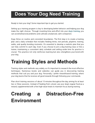 When and Why Your Dog Might Need Training
