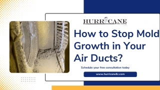 How to Stop Mold Growth in Your Air Ducts