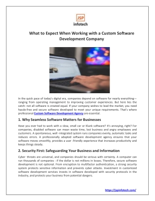 What to Expect When Working with a Custom Software