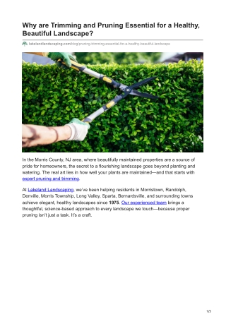 Why are Trimming and Pruning Essential for a Healthy Beautiful Landscape