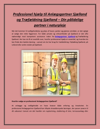 Professionel hjælp til Anlægsgartner Sjælland og Træfældning Sjælland – Din påli