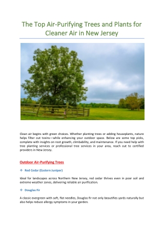 The Top Air Purifying Trees and Plants for Cleaner Air in New Jersey