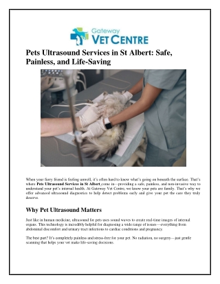 Pets Ultrasound Services in St Albert Safe, Painless, and Life-Saving (2)