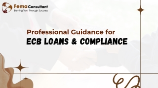 Professional Guidance for ECB Loans and Compliance