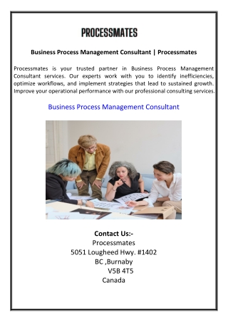 Business Process Management Consultant  Processmates