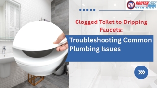 Clogged Toilet to Dripping Faucets: Troubleshooting Common Plumbing Issues