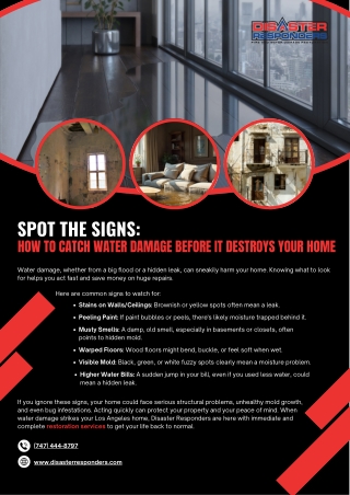 Spot the Signs : How to Catch Water Damage Before It Destroys Your Home