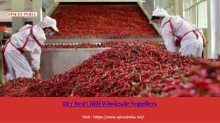 Dry Red Chilli Wholesale Suppliers