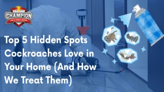 Top 5 Hidden Spots Cockroaches Love in Your Home (And How We Treat Them)