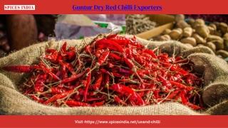 Guntur Dry Red Chilli Exporters