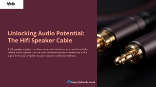 Premium HiFi Speaker Cable – Unleash True Sound Clarity