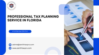 Professional Tax Planning Service in Florida
