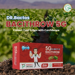 Best Fungicide for Plants: Protect Your Crops with Confidence