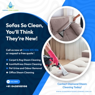 Sofas So Clean, You’ll Think They’re New!