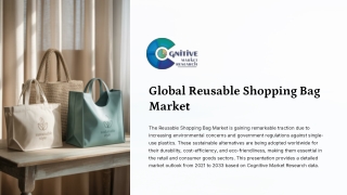 Reusable Shopping Bag Market