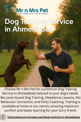 Dog Training Service in Ahmedabad