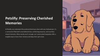 Petslify: Where Memories of Your Pet Live On in Plush Form