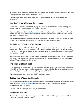 Why Every Website Needs an SEO Audit