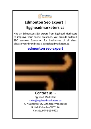 Edmonton Seo Expert  Eggheadmarketers.ca