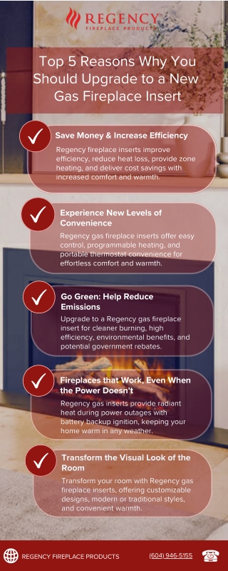 Top 5 Reasons Why You Should Upgrade to a New  Gas Fireplace Insert