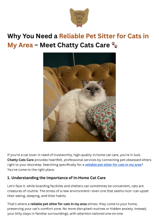 Why You Need a Reliable Pet Sitter for Cats in My Area – Meet Chatty Cats Care