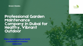 Professional Garden Maintenance Company in Dubai for Healthy, Vibrant Outdoor