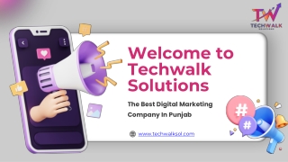 IT Service Provider in Chandigarh | Techwalk Solutions