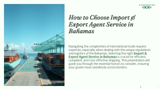 How to Choose Import & Export Agent Service in Bahamas