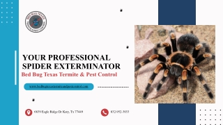 Your professional Spider Exterminator and Control Services Near You