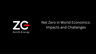 Net Zero in World Economics: Impacts and Challenges