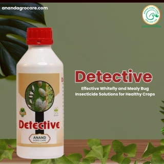 Effective Whitefly and Mealy Bug Insecticide Solutions for Healthy Crops
